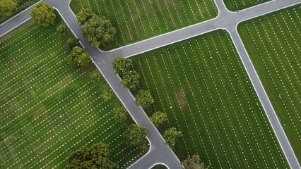Aerial View of Round Green Trees in Cemetery