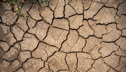 Cracked ground background in the top view for graphic design or wallpaper. Natural texture with the concept of drought and death. Empty space with abstract pattern in vintage style.