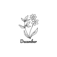 December Birth Month Flower floral birthday minimal narcissus and holly 