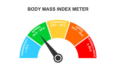 Body mass index meter. Infographic BMI dashboard with arrow. Weight measuring scale with underweight, normal, overweight, obese ranges. Vector flat illustration. - obrazy, fototapety, plakaty