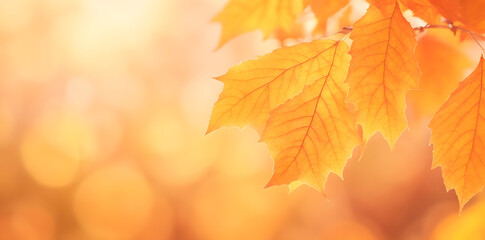 Autumn abstract background with bokeh. New Year Celebration wallpaper. Generative ai art