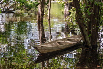 Canoa no Rio Negro