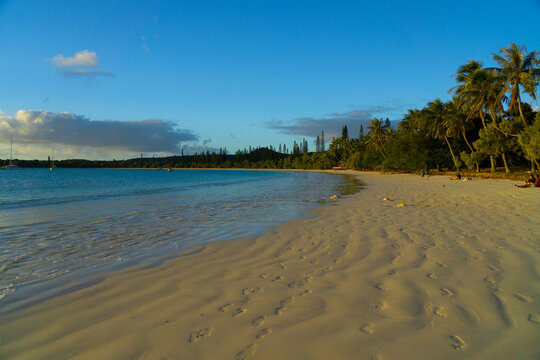 Kuto Bay on sunset