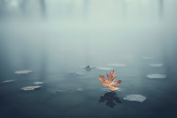 The solitary journey of a single leaf on calm waters, enveloped in mist, conveys feelings of isolation and introspection