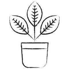 Hand drawn Croton plant icon © Icongeek26