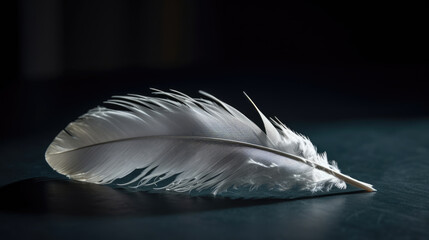 Single feather