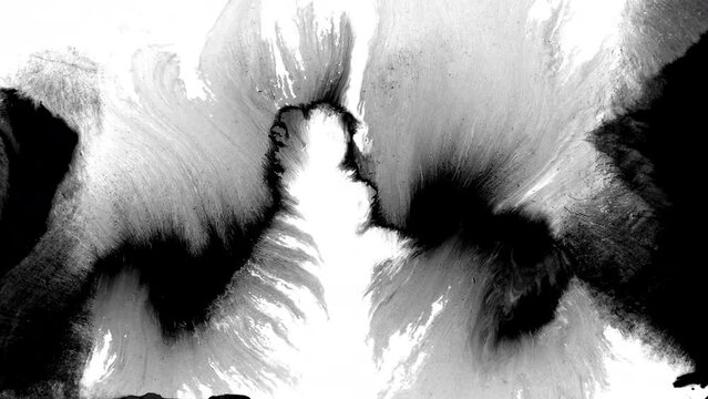 Black ink rorschach effect abstract background artistic flow splatter spots spills white paper beautiful reveal dripping streaks spread fluid ink alpha matte isolated watercolor ink drops transition	
