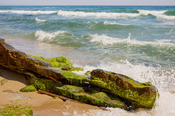 landscape with the shore of the Black Sea in Bulgaria on a summer day.