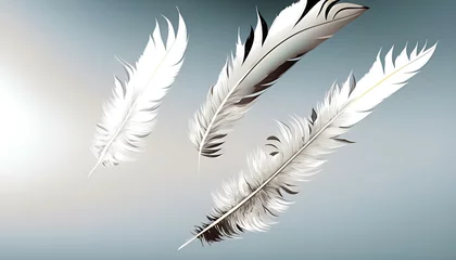 Tableaux sur verre Plumes white feather isolated on black Ai generative