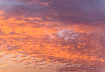 Sunset sky background with tiny clouds. Colorful sunset sky