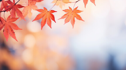Naklejka na ściany i meble Red and yellow maple leaves with soft focus light. Autumn background with copy space. Generative AI