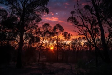 Fototapeta premium A beautiful sunset behind a silhouette of trees