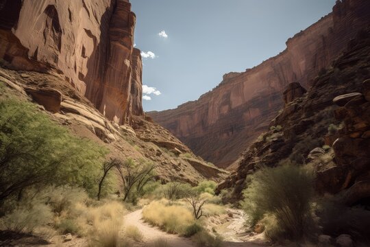A stunning narrow canyon in the heart of a barren desert landscape