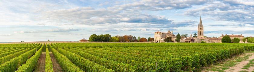 Panoramic view of vineyards of Saint Emilion, Bordeaux, Gironde, France. Medieval church in old town and rows of vine on a grape field. Wine industry - 637779651