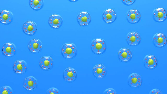 細胞分裂、cell division 、医療