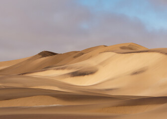 Fototapeta na wymiar Gorgeous sand dunes in the Namib desert, Namibia