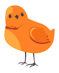 Small chick, domestic animals farm breeding vector