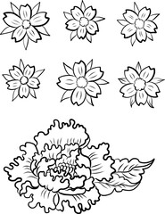 Set of flower vector for painting on background.Peony for printing on curtain.Traditional  Asian floral illustration for embroidery style.Rose flower.Beautiful line art for summer.Cherry blossom.