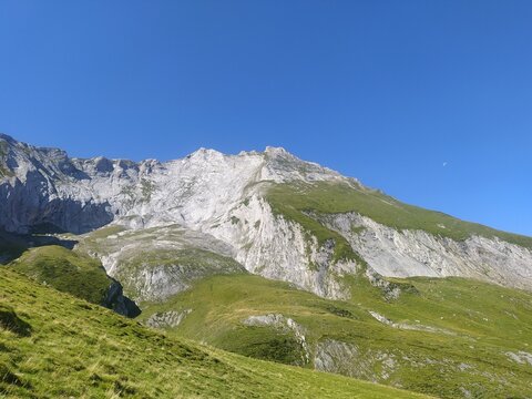Col de l'Aubisque pr&egrave;s de Gourette dans les Pyr&eacute;n&eacute;es - Atlantiques (en France) montagne estive for&ecirc;t 5