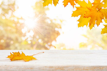 Falling autumn maple leaves on wooden table with copy space