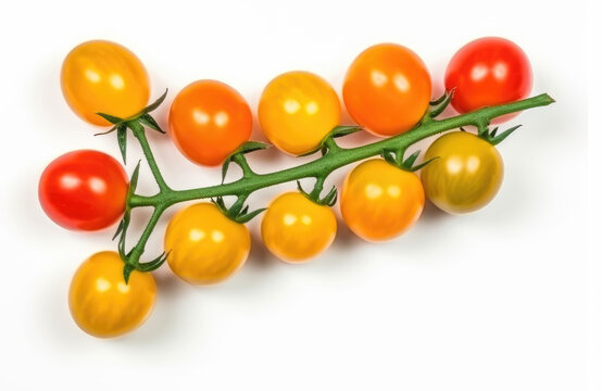 Red and yellow cherry tomatoes on a twig