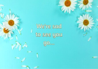 Composite of we're sad to see you go text with beautiful fresh daisies on blue background