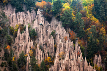 Picturesque view on natural earth pyramids in autumn season. Renon, Ritten, Dolomites, South Tyrol, Italy - obrazy, fototapety, plakaty