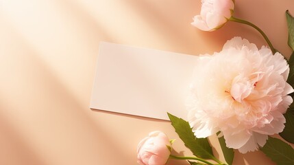 Peony flower with shadows on peach background minimalist brand template . Mockup image