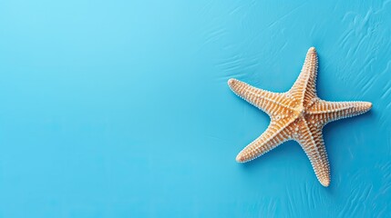Table with blue background featuring starfish and empty space for text evoking a vacation and summer theme . Mockup image
