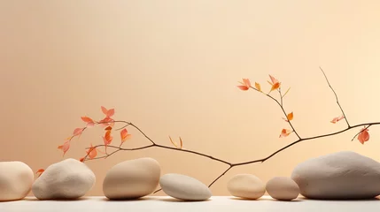 Gordijnen Neutral background with stones branch and natural colors ideal for beauty product branding and packaging Front perspective copy space . Mockup image © HN Works
