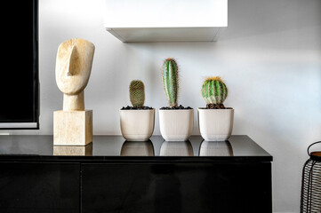 Interior charm and design. Trio of cactuses nbested in its own white pots, delicate plaster head statue takes the spotlight. Selective focus.