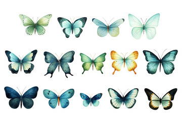 collection of butterfly illustrations on clear background for print, wall art, tattoo, wallpaper, books, website, decoration