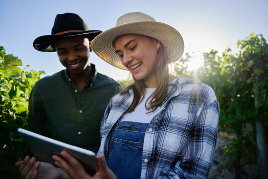 Young multiracial couple in casual clothing smiling while holding digital tablet next to plants on farm