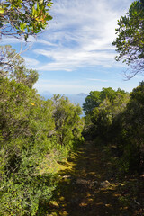 Fototapeta na wymiar A hiking path at the Volcano island, the Aeolian islands, Sicily