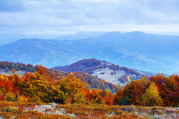 Autumn mountains with orange forest and blue hills. Landscape photography