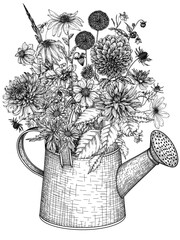 Vector illustration of an autumn bouquet in a watering can. Dahlia, cosmos, zinnia, marigold, calendula, rudbeckia, gladiolus, datura, eryngium, allium, chrysanthemum, lobelia in engraving style © Viktoriia Holovko