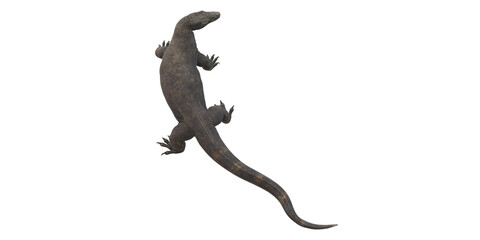 Naklejka premium Comodo Dragon isolated on a Transparent Background