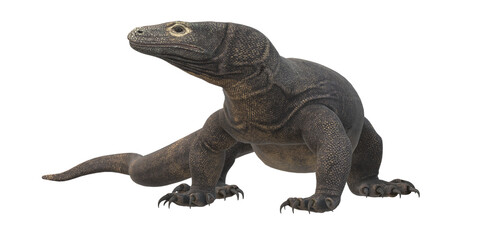 Obraz premium Comodo Dragon isolated on a Transparent Background