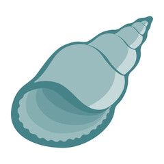 Seashell