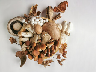 Set view of various whole mushrooms, in kitchen ingredients theme, are on white background decorated with rosemary and dry natural elements