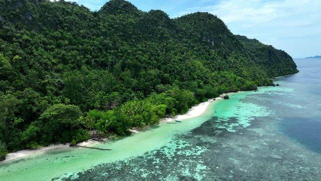 Aerial Panning Shot Of Green Trees At Beach By Turquoise Sea Against Sky On Sunny Day - Raja Ampat, Indonesia