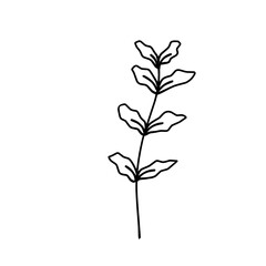 Botanical line.plant outline.