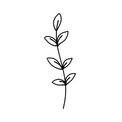 Botanical line.plant outline.