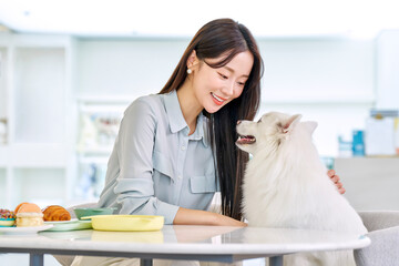 한국 스피츠 강아지 애완견 애완동물 펫샵 카페 로비 식당 테이블에서...