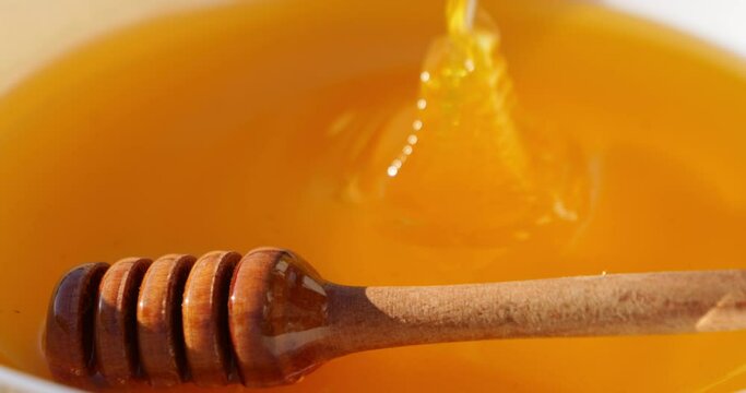 Honey is poured from a honey spoon into a plate. Freshly squeezed honey sparkles in the sun.