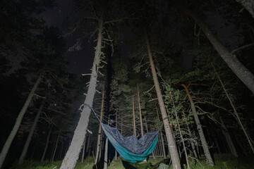 Hammock on the trees in the forest at night in the Viru swamp.