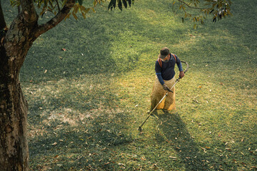 field grooming gardener tending to grass with the grass cutter machine on a yellowish morning