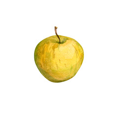 Watercolor illustration of a green apple on a white background