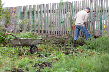 A young man uproots weeds in the garden with a shovel and puts weeds in a cart.