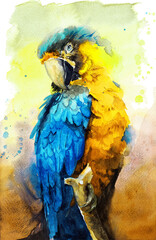 Watercolor illustration of a beautiful macaw parrot with colorful yellow and blue feathers sitting on a branch against a background of watercolor stains and drips